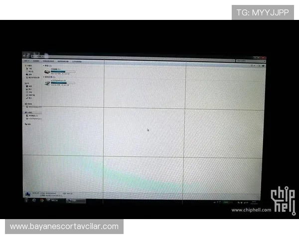 pa电子电脑版的用户评价与反馈,真实用户体验分享与建议